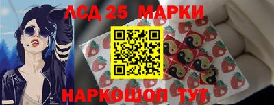 прущие грибы Будённовск