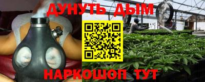 прущие грибы Будённовск