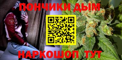 прущие грибы Будённовск