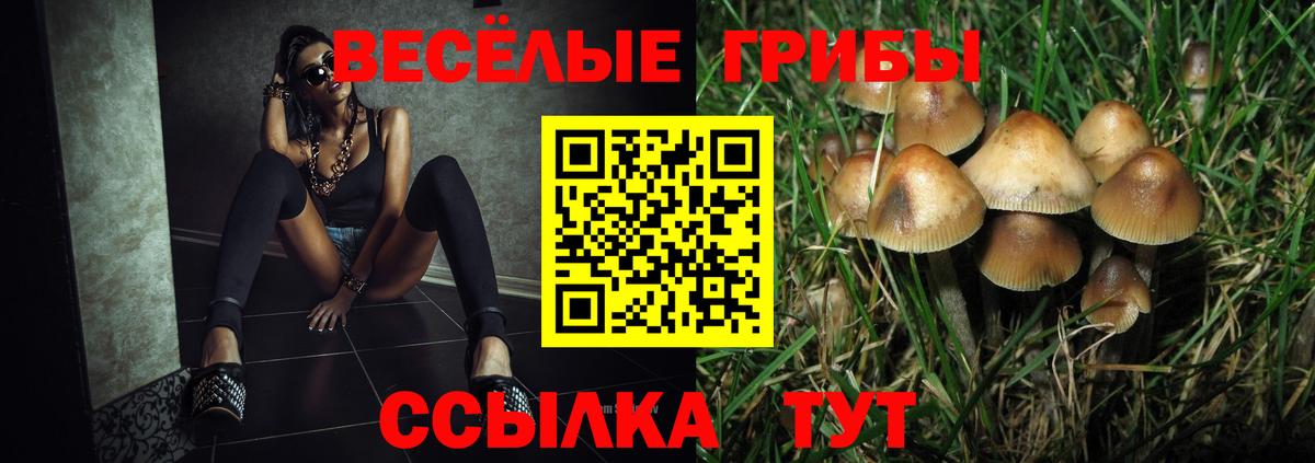 Галлюциногенные грибы Magic Shrooms Кингисепп